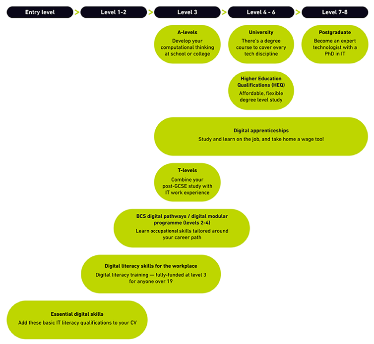 Infographic showing different education routes into digital