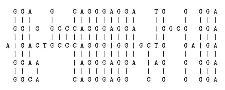 DNA diagram