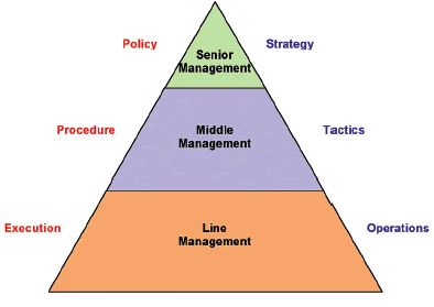 Management pyramid