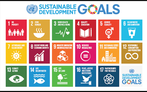 Sustainable Development Goals Grid