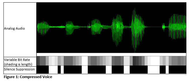 Compressed voice audio recording