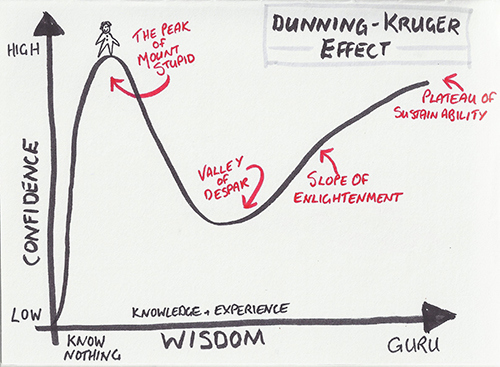 Dunning-Kruger Effect diagram in detail
