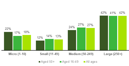 Chart showing Age and size of workplace (2022)