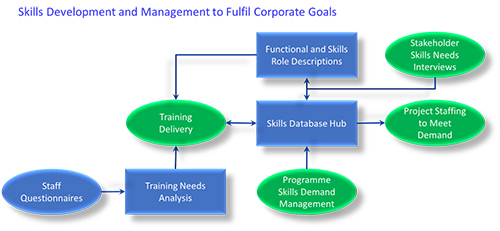 Skills Development and Management flow chart