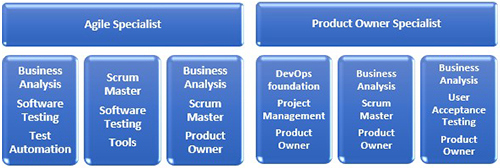 Agile Programme detailing different hybrid roles