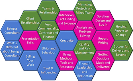 Diagram showing the 21 topics in the programme