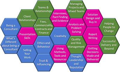 Diagram featuring the topics covered by the New and Aspiring Consultants programme