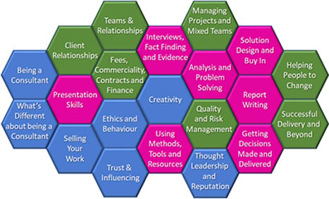 Diagram showing the 21 topics in the programme