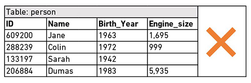 Diagram of a data table displaying Name, Birth Year and Engine Size