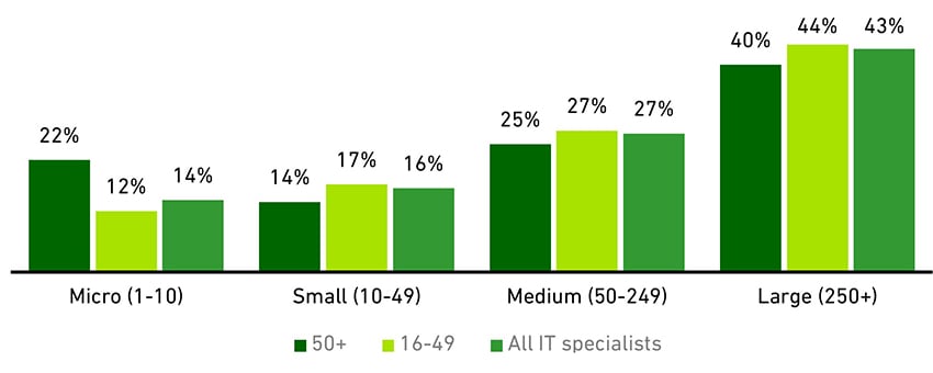 Chart showing the age and size of workplace (2020)