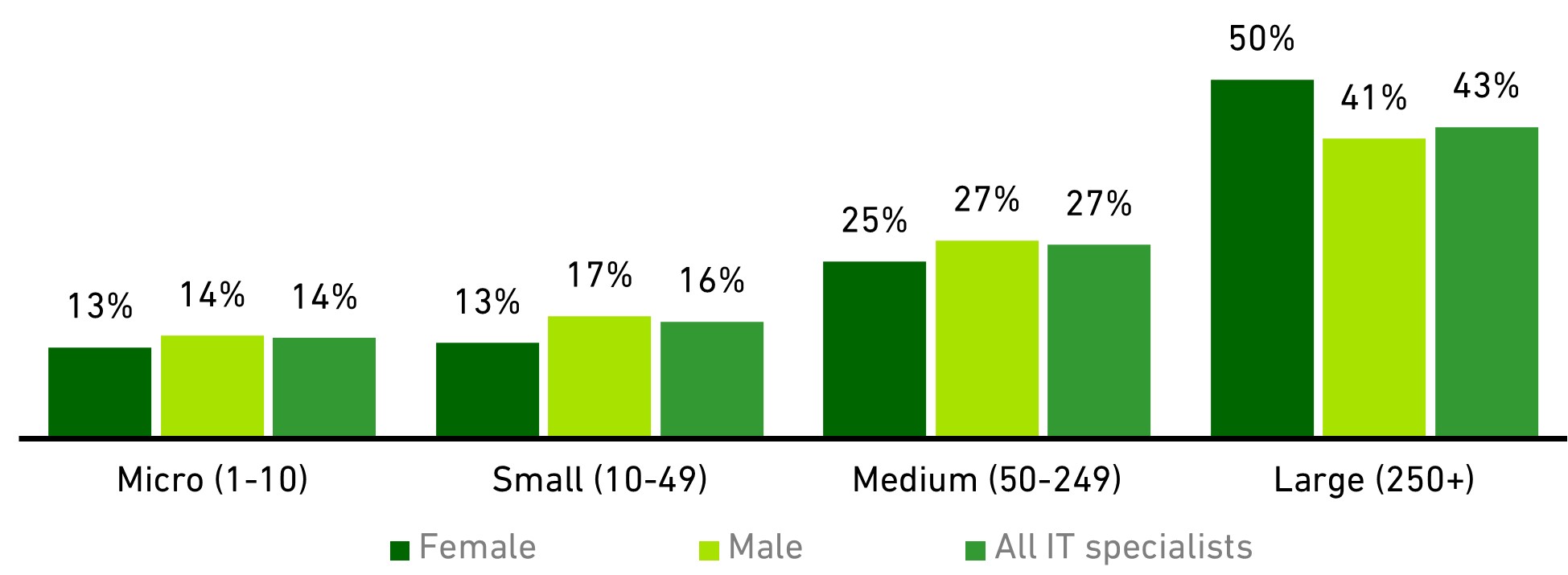 Chart showing IT specialist employees by gender and size of workplace (2020)