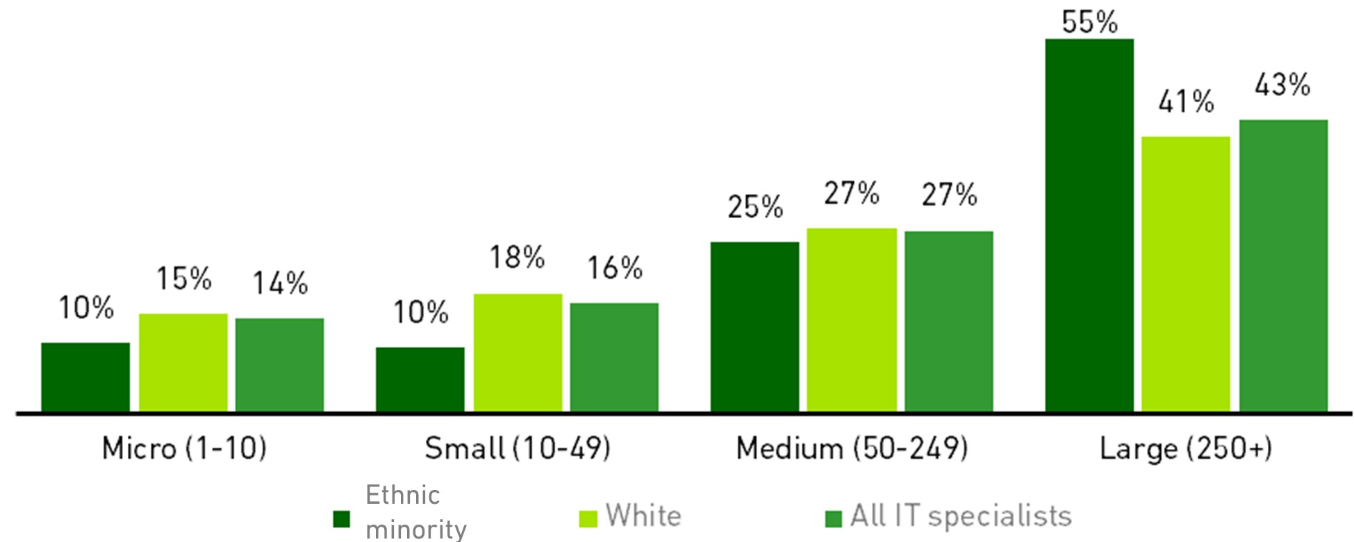 Chart showing ethnicity and size of workplace (2020)