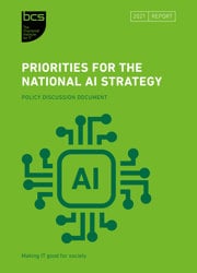 Priorities for the national AI strategy report