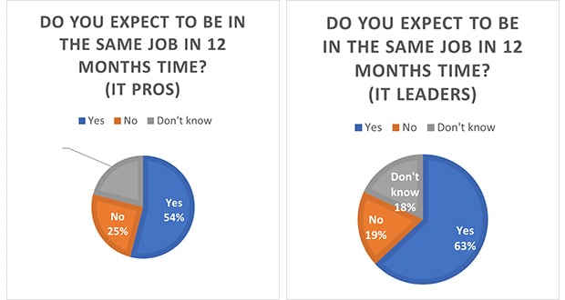 Graph showing 54% of IT professionals and 63% of IT leaders expect to be in the same job in 12 months time 