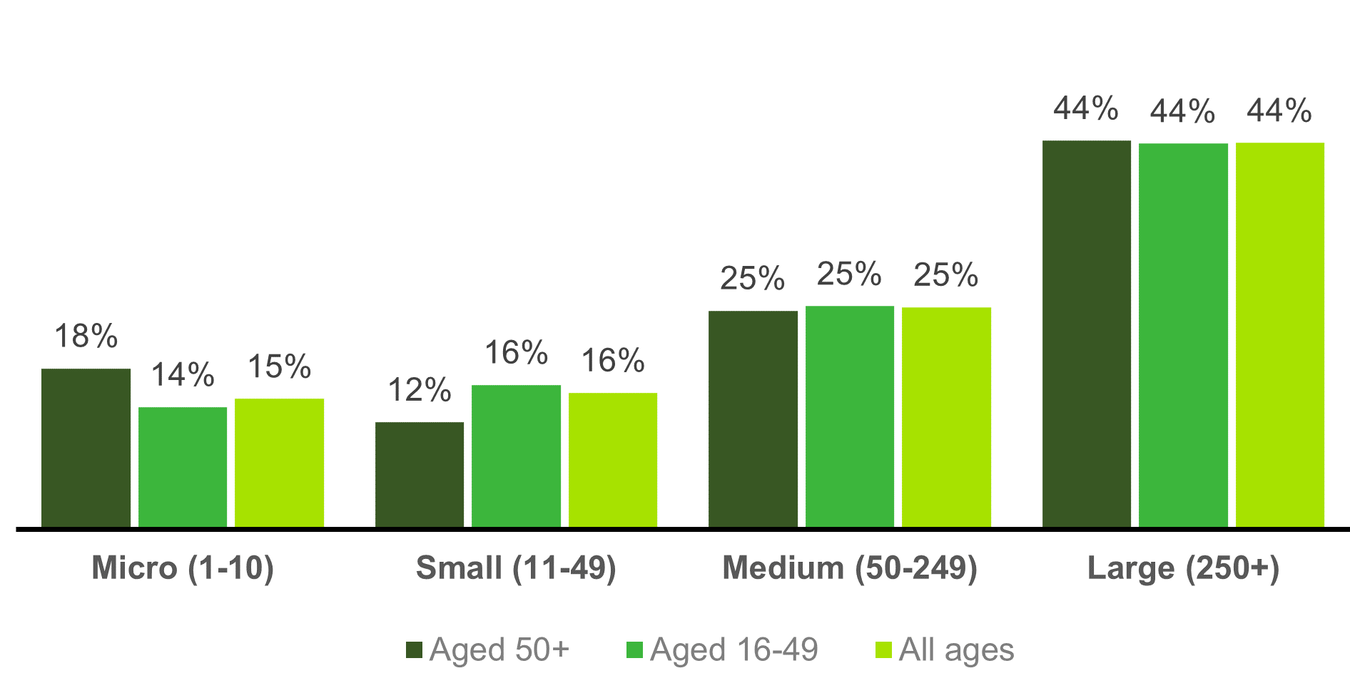 Chart showing the age and size of workplace (2021)