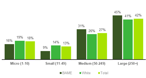 Chart showing Ethnicity and size of workplace (2022)