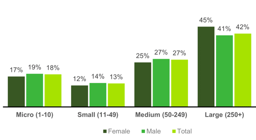 Chart showing IT specialist employees by gender and size of workplace (2022)